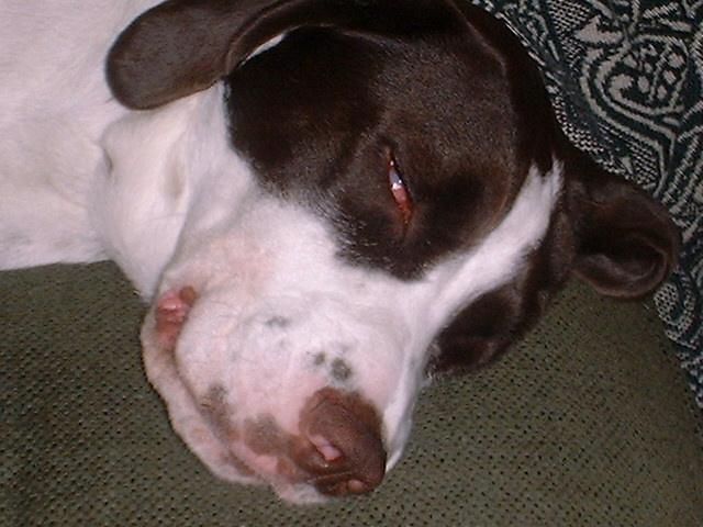 2000.04-05-Murphy Pics