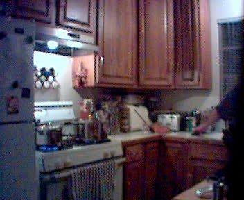 GZO-2003.12-2004.01.033