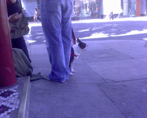 GZO-2006.08-2007.01_046