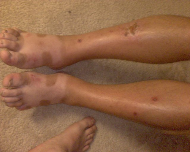 GZO-2006.08-2007.01_062