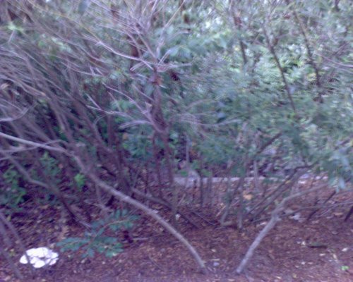 GZO-2006.08-2007.01_085