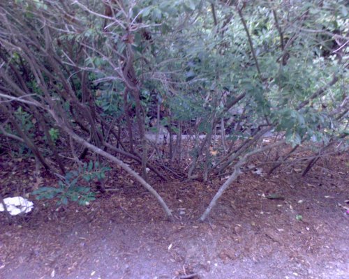 GZO-2006.08-2007.01_086