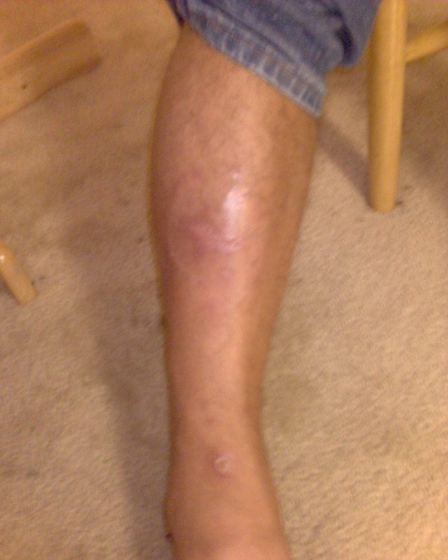 GZO-2006.08-2007.01_105