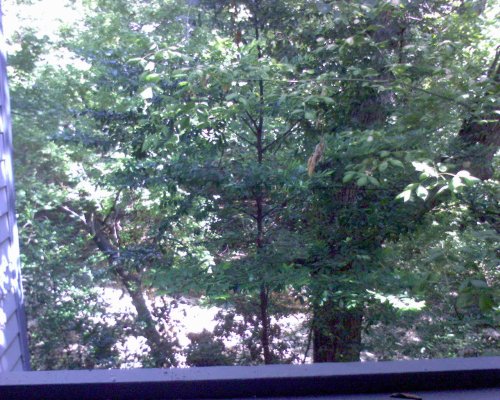 GZO-2006.08-2007.01_118