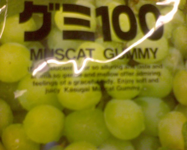 GZO-2006.08-2007.01_150