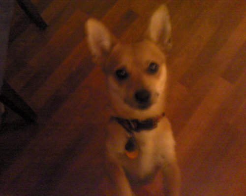 GZO-2006.08-2007.01_191