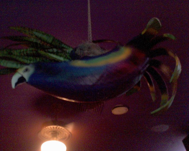 GZO-2006.08-2007.01_211