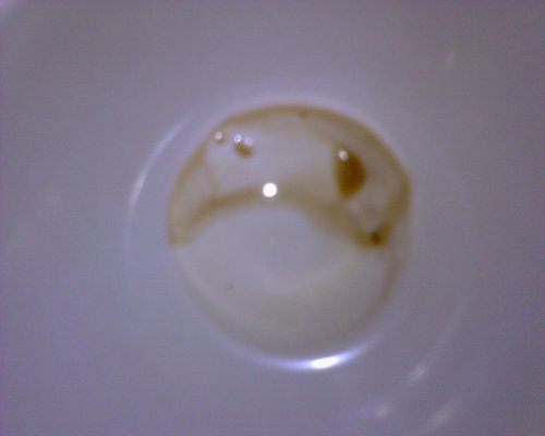 GZO-2006.08-2007.01_230