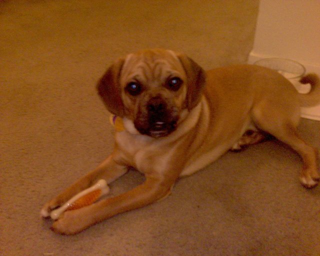 GZO-2006.08-2007.01_241