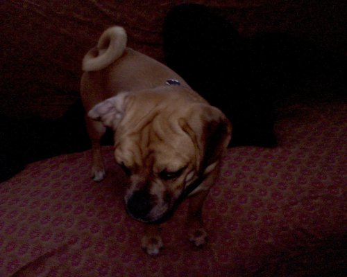 GZO-2006.08-2007.01_244