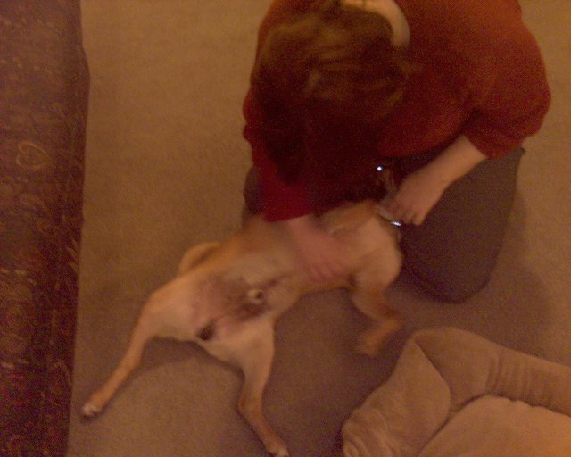 GZO-2006.08-2007.01_246