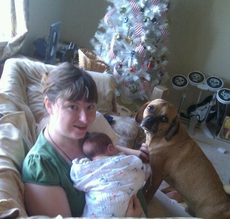 IMG_20101218_160243-1