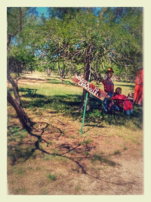 IMG_20141004_122359-EFFECTS