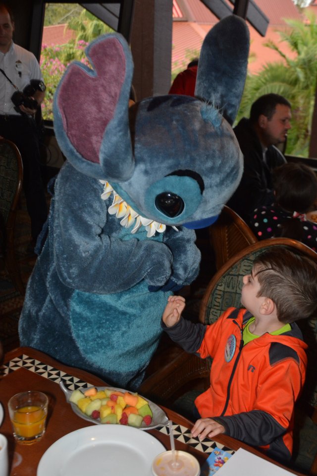 POLY_OHANACHAR2_7543372837