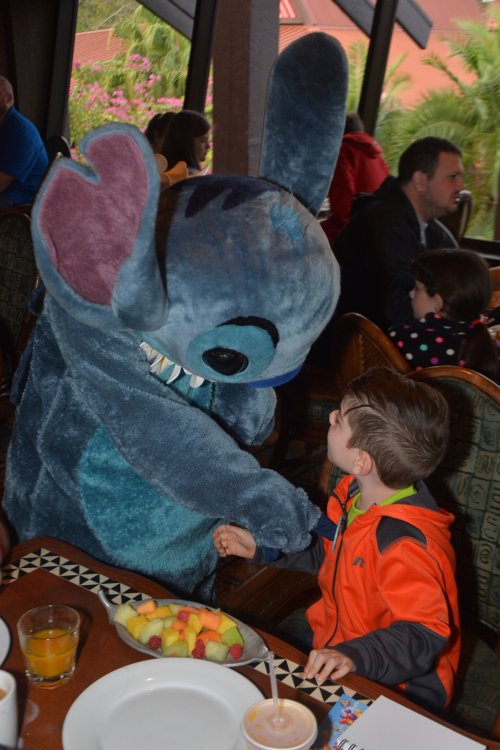 POLY_OHANACHAR2_7543372838