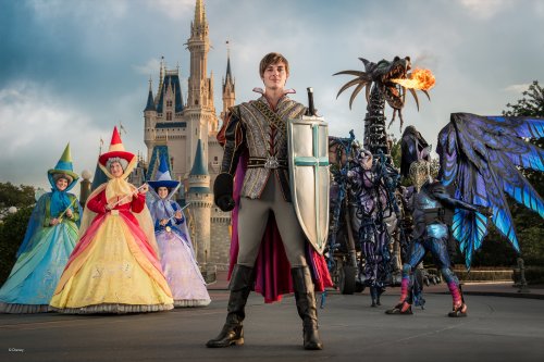 wd008wdw2015092213365862