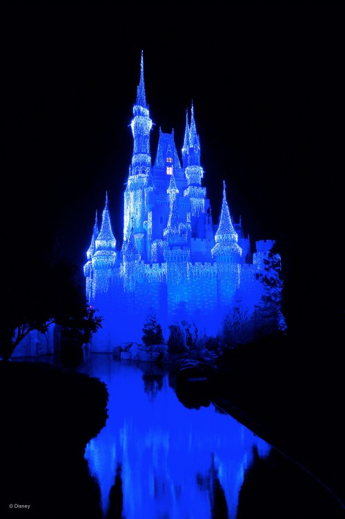 wd036wdw2015313338539979