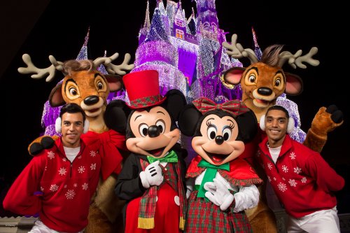 wd039wdw2015314339172239