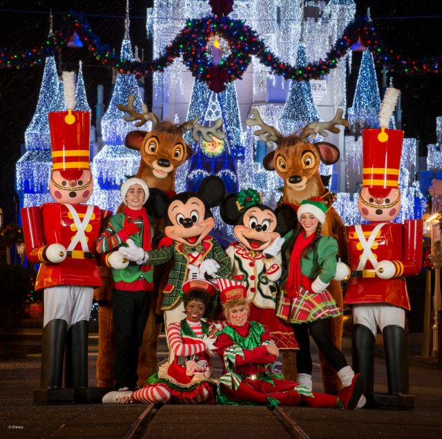 wd042wdw2015314339172209