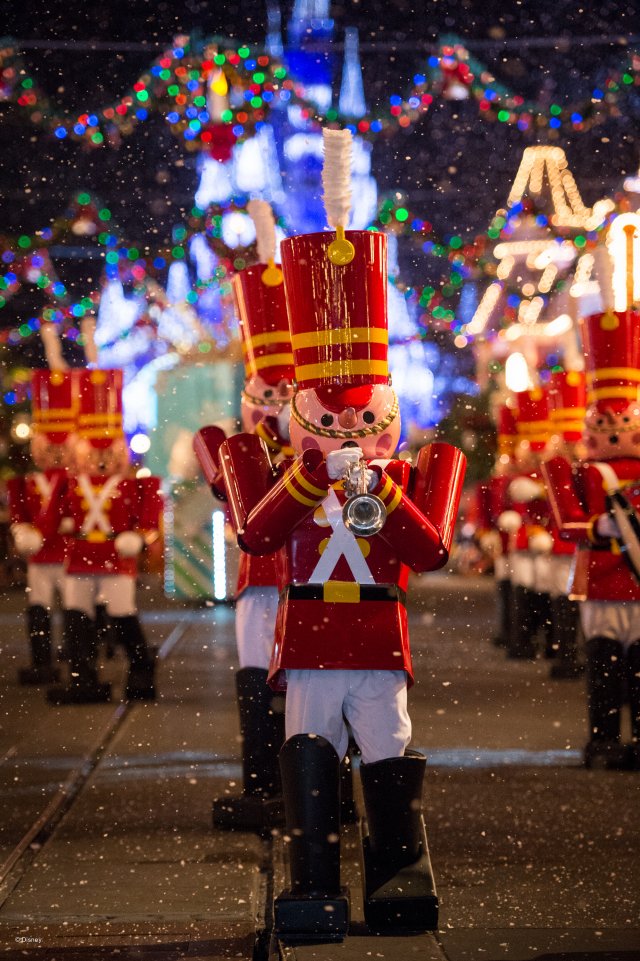 wd053wdw2015314339172188