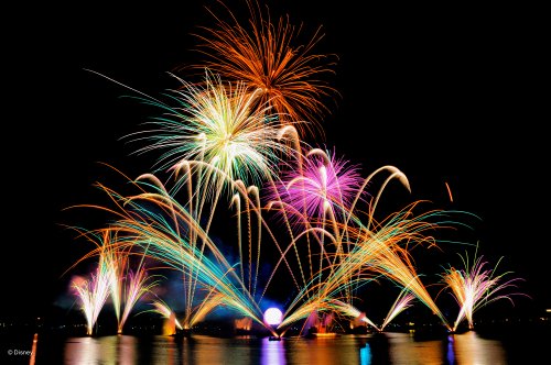 Walt Disney World Photo Gallery Disc