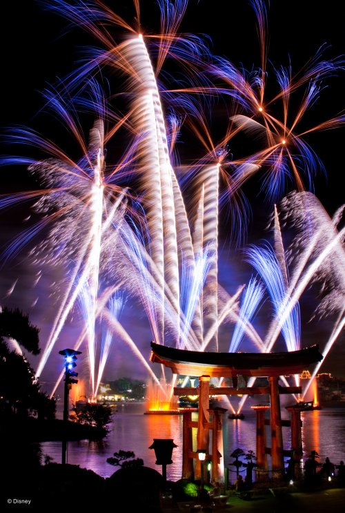 Walt Disney World Photo Gallery Disc