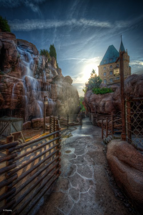 Walt Disney World Photo Gallery Disc