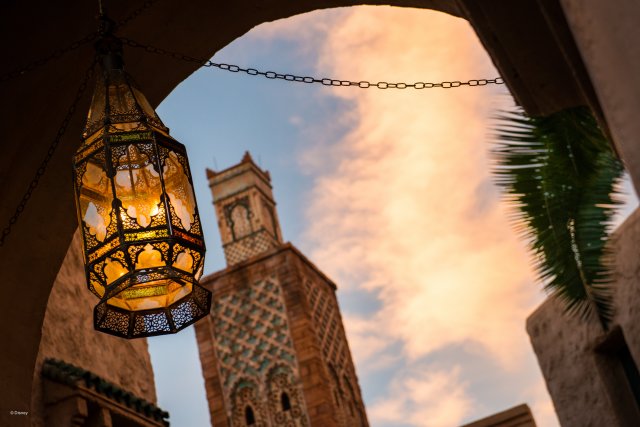 wd068wdw2015090212432445