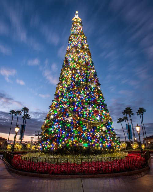 wd082wdw2015313338539987