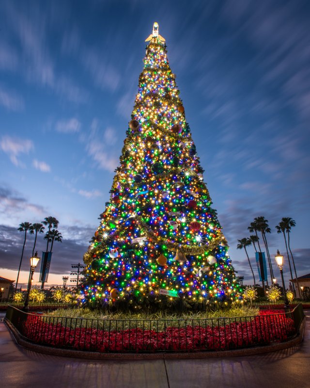 wd082wdw2015313338539987