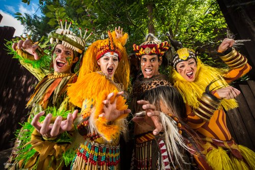 wd087wdw2015089211614833