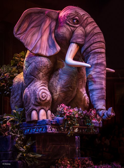 wd088wdw2015089211614887