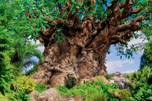 Walt Disney World Photo Gallery Disc