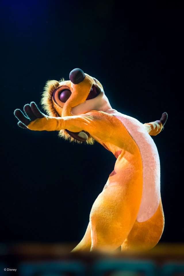 wd090wdw2015089211614817