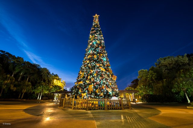 Walt Disney World Photo Gallery Disc