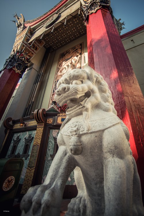 wd099wdw2015090212151197