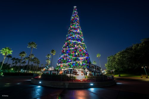 Walt Disney World Photo Gallery Disc