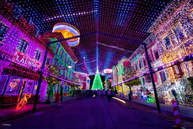 Walt Disney World Photo Gallery Disc