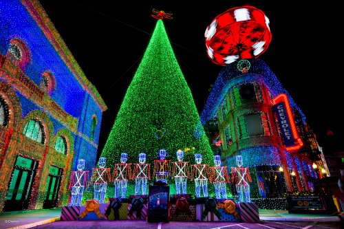 Walt Disney World Photo Gallery Disc