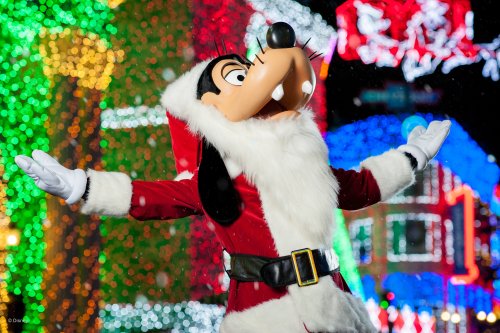 wd106wdw2015313338539866_19